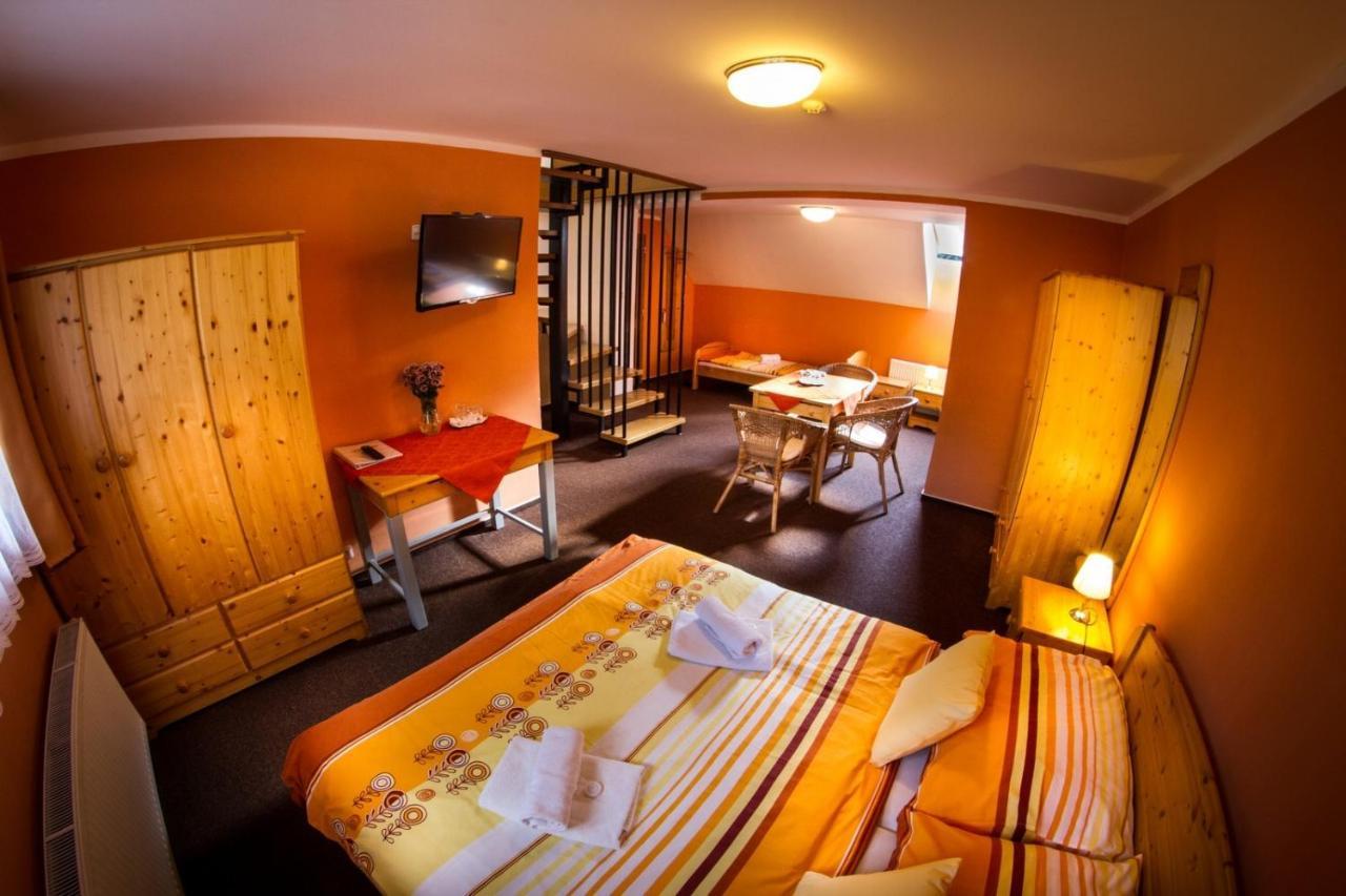Horsky Hotel Snezenka Hyncice pod Susinou Екстер'єр фото