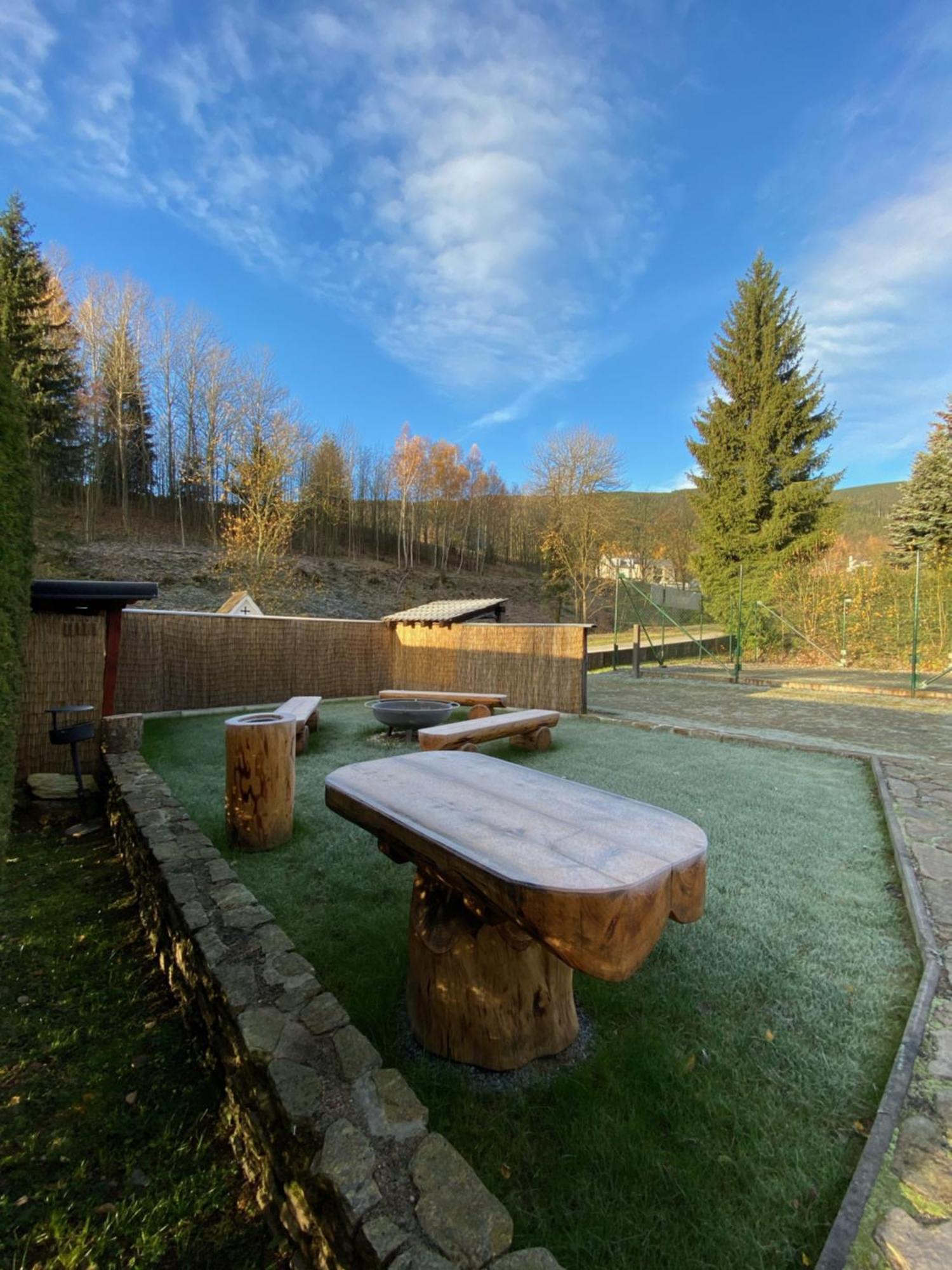 Horsky Hotel Snezenka Hyncice pod Susinou Екстер'єр фото