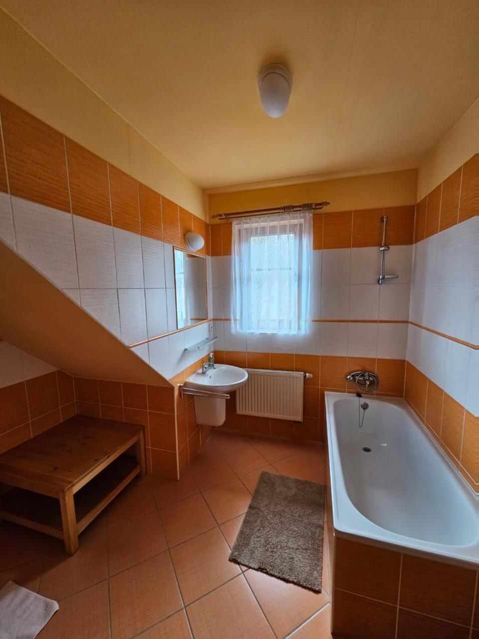 Horsky Hotel Snezenka Hyncice pod Susinou Екстер'єр фото
