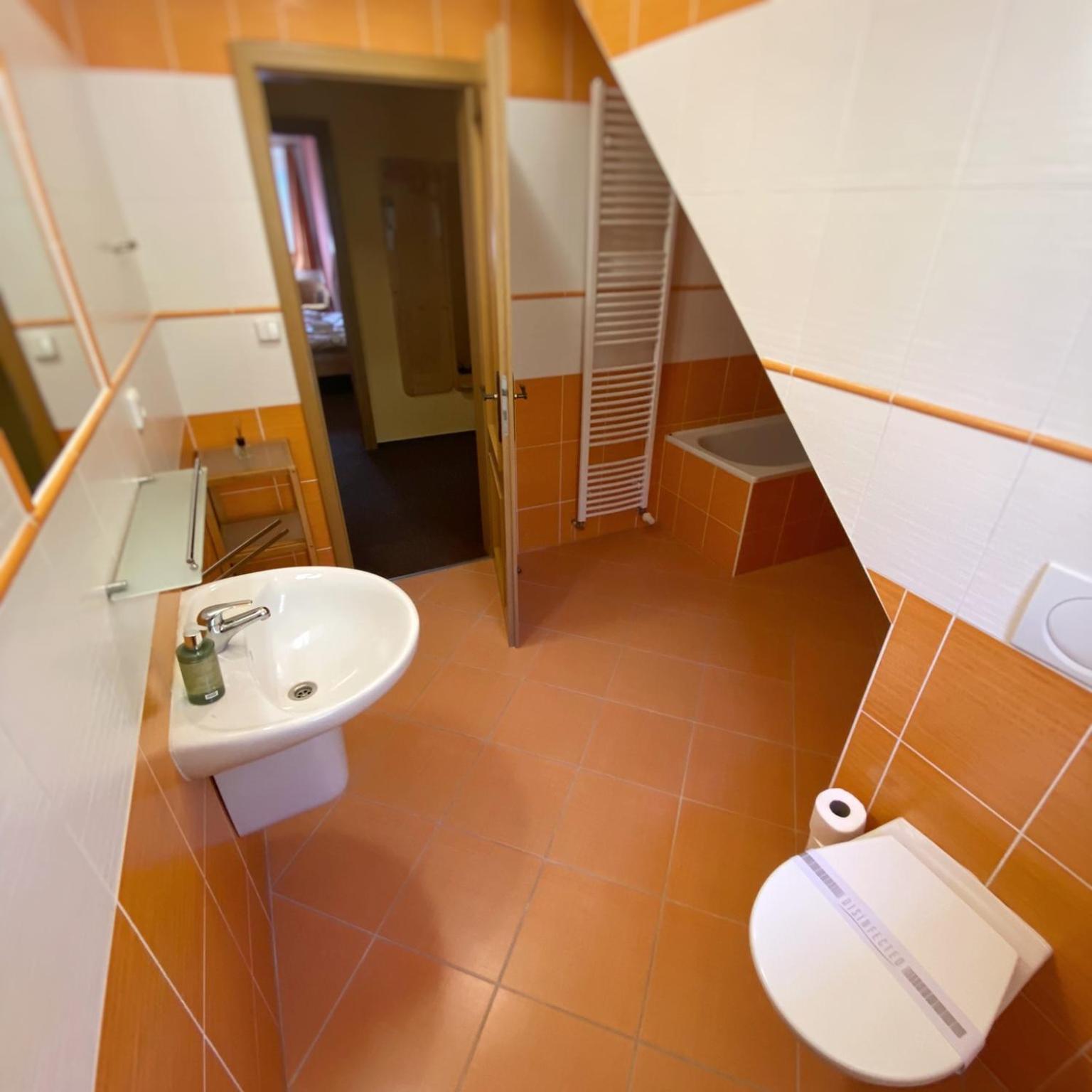 Horsky Hotel Snezenka Hyncice pod Susinou Екстер'єр фото